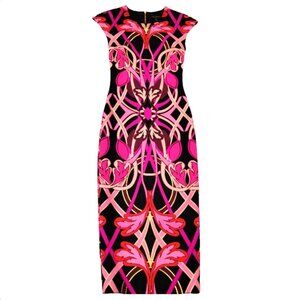 Ted Baker London Bodycon Dress